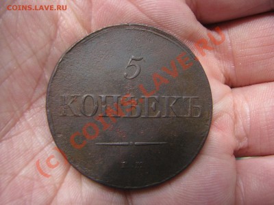 5 копеек 1831 г. до 6 сентября - IMG_6262.JPG