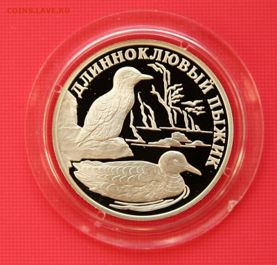 1 рубль. Длинноклювый пыжик 2005 до 10.11 в 22-30 - пыжик