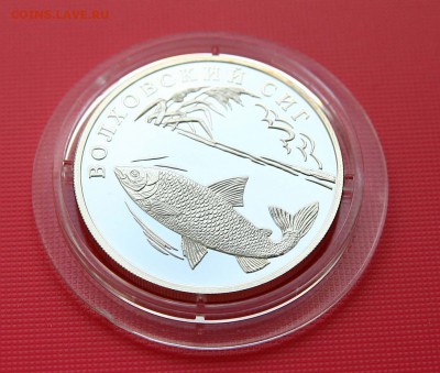 1 рубль. Волховский сиг 2005 до 10.11 в 22-30 - сиг1