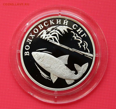 1 рубль. Волховский сиг 2005 до 10.11 в 22-30 - сиг