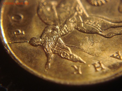 50 коп. 2014 года.  "интимная опухоль коня" - DSC07023.JPG