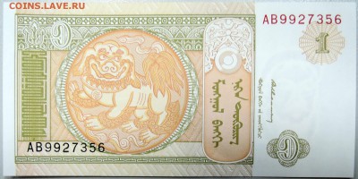 МОНГОЛИЯ - 1 тугрик  2008 г.  пресс  до 11.11 - DSCN1427.JPG