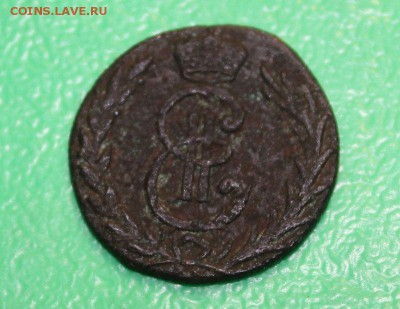 денга 1778 г.сибирская до 09.11.2015 - IMG_9975.JPG