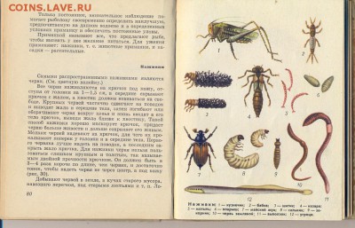 Н.Лопатин Спортивная ловля рыбы 1965г. - спортивная ловля рыб0002