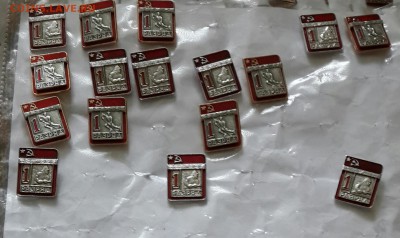 Перворазрядники - 20151103_115257-1