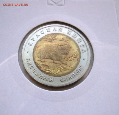 50р. Красная Книга 1994г. до 6.11.2015 22.00 МСК - Слепыш 1994.JPG