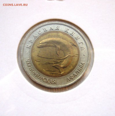 50р. Красная Книга 1993г. до 6.11.2015 22.00 МСК - Афалина 1993.JPG