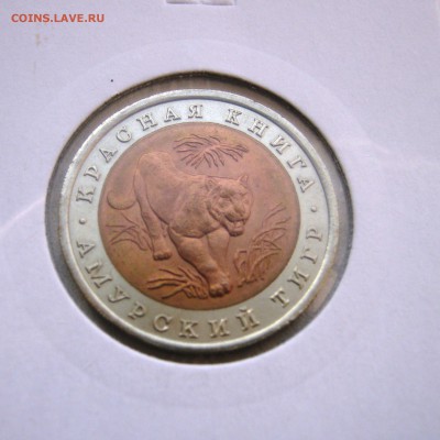 10 р. Красная Книга 1992г. до 6.11.2015   22.00 МСК - Тигр 1992.JPG