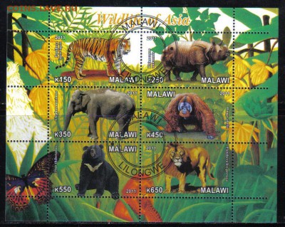 Малави мл 2011г Животные Азии до 8.11 22.00мск - Малави мл 2011г Животные Азии-1