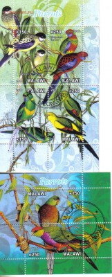 Малави мл 2011г Попугаи до 8.11 22.00мск - Малави мл 2011г Попугаи