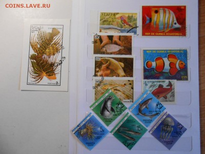Морская фауна и рыбы, сток марок,  до 12.11.2015 - DSCN1401.JPG