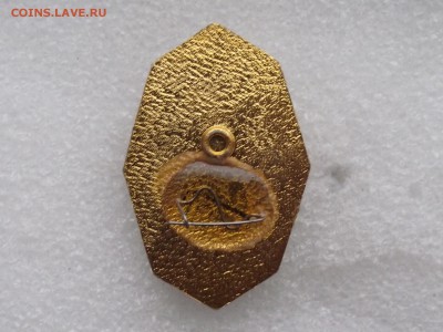 знаки совр.техникумов,до 9.11 в 21.00мск - 13а.JPG