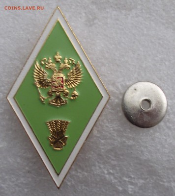 шт,до 9.11 в 21.00мск - 19.JPG