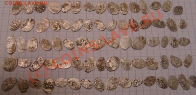 чешуйки, помогите в оценке - SN150330.JPG