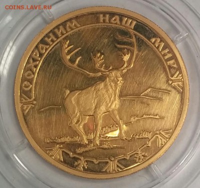 100 руб. 2004 г. Au Северный олень Оценка - 20151107_170503-1