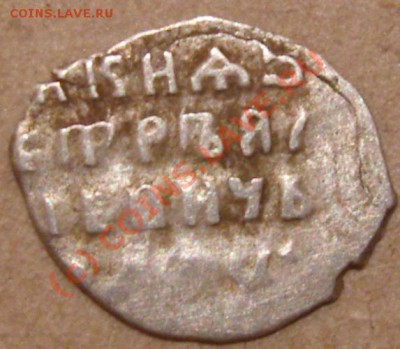 чешуйки, помогите в оценке - SN150341.JPG