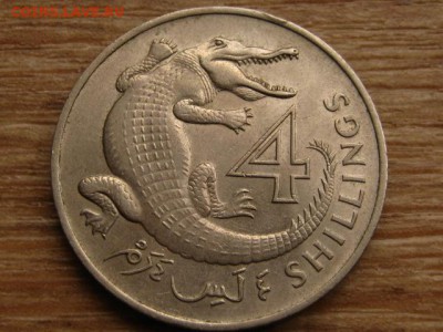Гамбия Брит. 4 шиллинга 1966 крокодил  до 09.11.15 в 21.00 М - IMG_0982.JPG