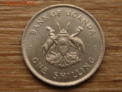 Уганда 1 шиллинг 1976 год-тип до 09.11.15 в 21.00 М - IMG_1023.JPG