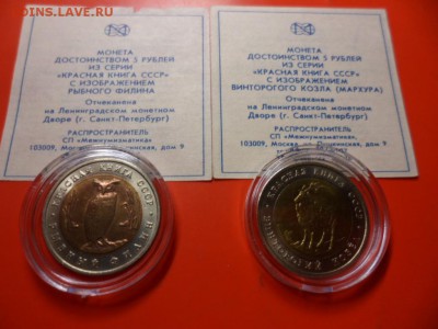 ФИКС. КК 1991 Филин и Козёл UNC 14.11.15 22.00 - SAM_4848.JPG