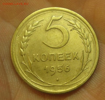 5 копеек 1956 г. (AZ-1310) -----14.11.15, в 22.10 - IMG_9475.JPG