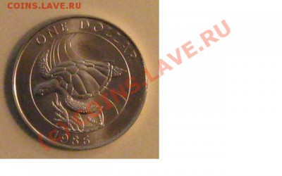 DOLLAR - Безымянный4п