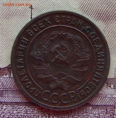 1 копейка 1924г (ГЛАДКИЙ ГУРТ) до 14.11.2015г в 22.00.мск - DSC01927.JPG