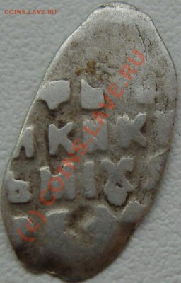 чешуйки, помогите в оценке - SN150371.JPG