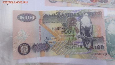 ЗАМБИЯ 100 квача 2008,2006,2009 гг ПРЕСС в 21-20 мСКи 15ноя - крр 02.10.15  суу 063.JPG