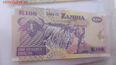 ЗАМБИЯ 100 квача 2008,2006,2009 гг ПРЕСС в 21-20 мСКи 15ноя - крр 02.10.15  суу 064.JPG