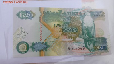 ЗАМБИЯ 20 квача92,Пакистан 5 ПРЕСС в 21-20 мСКи 15ноя - крр 02.10.15  суу 065.JPG