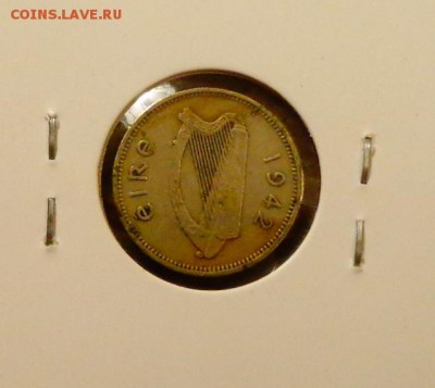 ИРЛАНДИЯ - 3п ЗАЙЧИК до 17.11, 22.00 - Ирландия зайчик-1