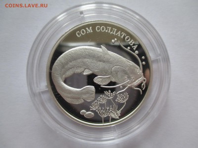 2Р 2014  СОМ СОЛДАТОВА   ДО 17 11 15  22 00 МСК - IMG_0238.JPG