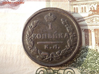 солнечно - DSC03114.JPG