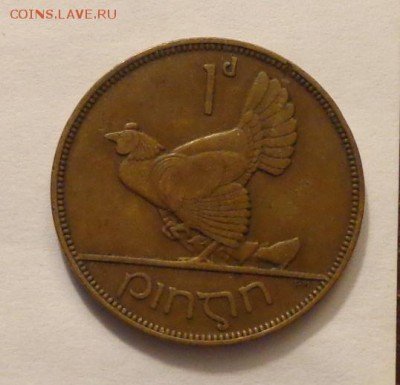 ИРЛАНДИЯ - ГЛУХАРЬ до 17.11, 22.00 - Ирландия Глухарь арфа