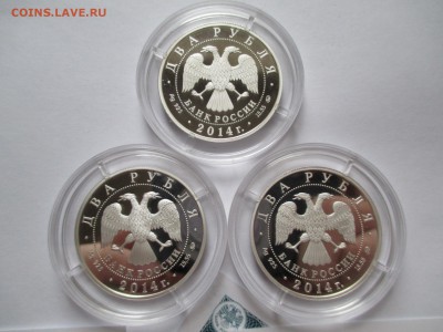 2р 2014 КРАСНАЯ КНИГА КОМПЛЕКТ ДО 17 11 15 22 00  МСК - IMG_0613.JPG