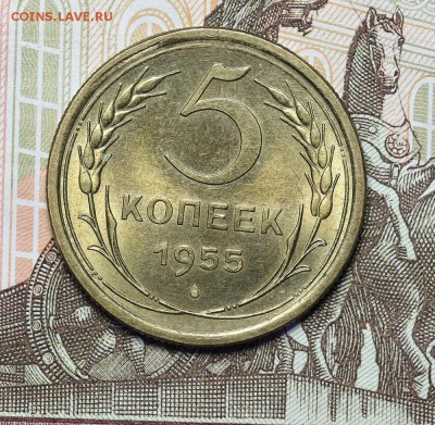 5 копеек 1955 штемпельный блеск до 17.11. - 23:00 - AU236988.JPG