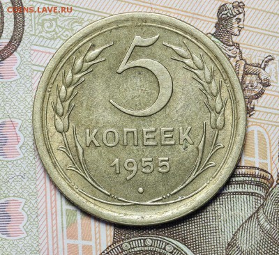 5 копеек 1955 остатки шт. блеска до 17.11 - 23:00 - AU236994.JPG