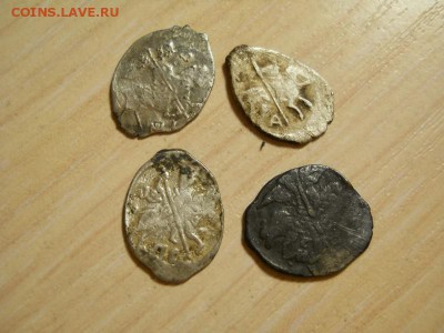 четыре чешуйки на определение - DSCN0063 (800x600)