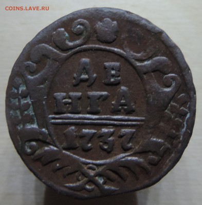 деньга 1737 г на оценку - DSCN9393.JPG