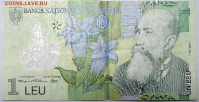 РУМЫНИЯ - 1 лей 2005 г. из оборота  до 18.11 - DSCN1593.JPG