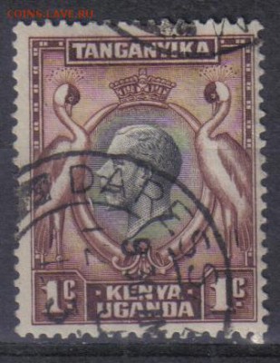 KUT №1 до 14.11 22.00мск - KUT №1