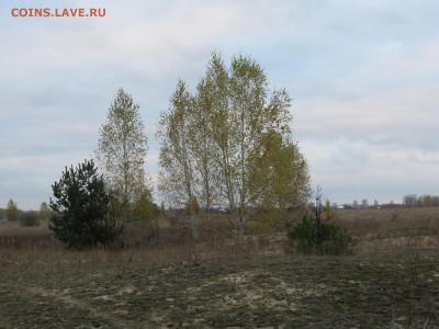 Покопушки от Русланыча . - IMG_2642.JPG