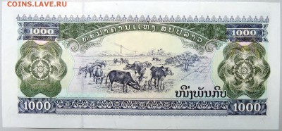ЛАОС - 1000 кипов 2003 г.  пресс  до 18.11 - DSCN1605.JPG