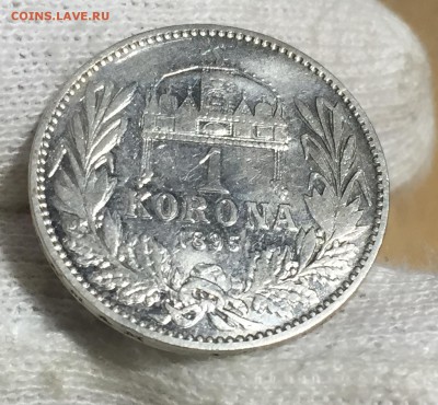 Австрия для Венгрии 1 корона 1895 КОШЕРНАЯ до 17.11. в 22:30 - 9