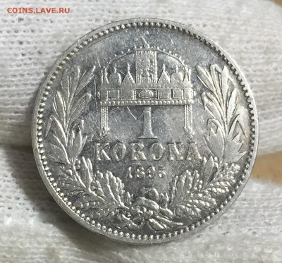 Австрия для Венгрии 1 корона 1895 КОШЕРНАЯ до 17.11. в 22:30 - 8
