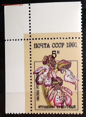 Двойной текст. Ошибка печати. По 16.11.15 - 22.00 мск. - 20151113_040054
