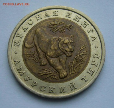 1992 КК Амурский тигр   до 17.11.15 в 22.00 - Тигр 1