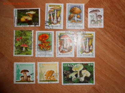 Грибы, большая коллекция марок и малых листов, до 19.11.2015 - DSCN1207.JPG