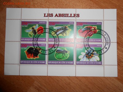 Насекомые, малый лист, до 19.11.2015 - DSCN1212.JPG