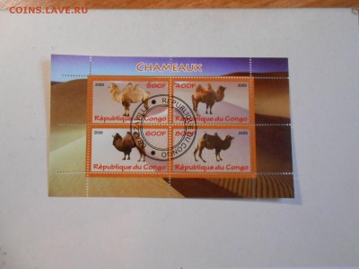 Верблюды, малый лист, до 19.11.2015 - DSCN1386.JPG